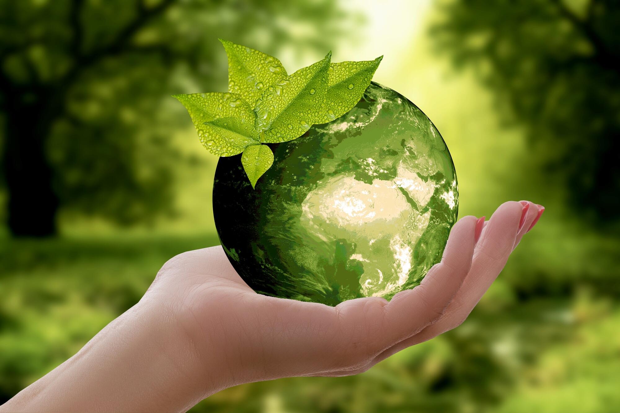 Sustainable Property Management: Eco-Friendly Practices for Commercial Properties